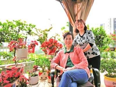  正红：五月花正红绽放的鲜花装扮了成都人的阳台