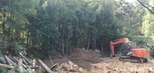 2019年农村宅基地新政，虽为农村人，这些人永久失去宅基地了！