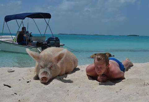 世界最幸福的动物，坐拥一座私人岛，还有美女伺候，你知道在哪吗