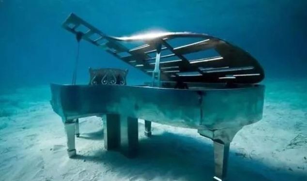 2019年最新免签名单｜中国国籍可免签去125个国家了