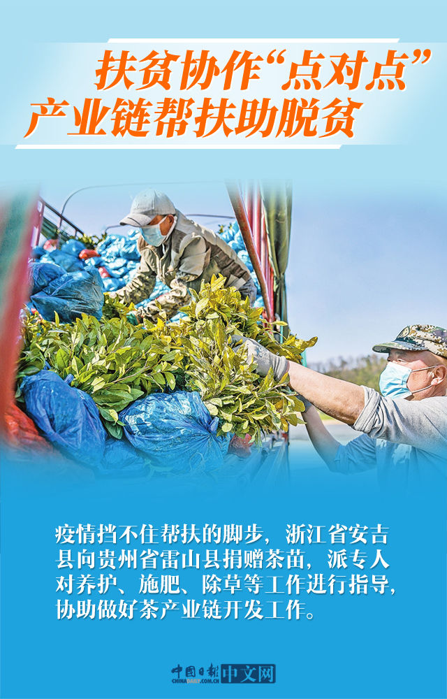  齐发■【图说中国经济】各地齐发力！疫情不减中国脱贫攻坚信心