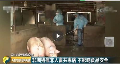 初中老师质疑玄幻小说遭人肉后自杀被救，警方：未接此警情