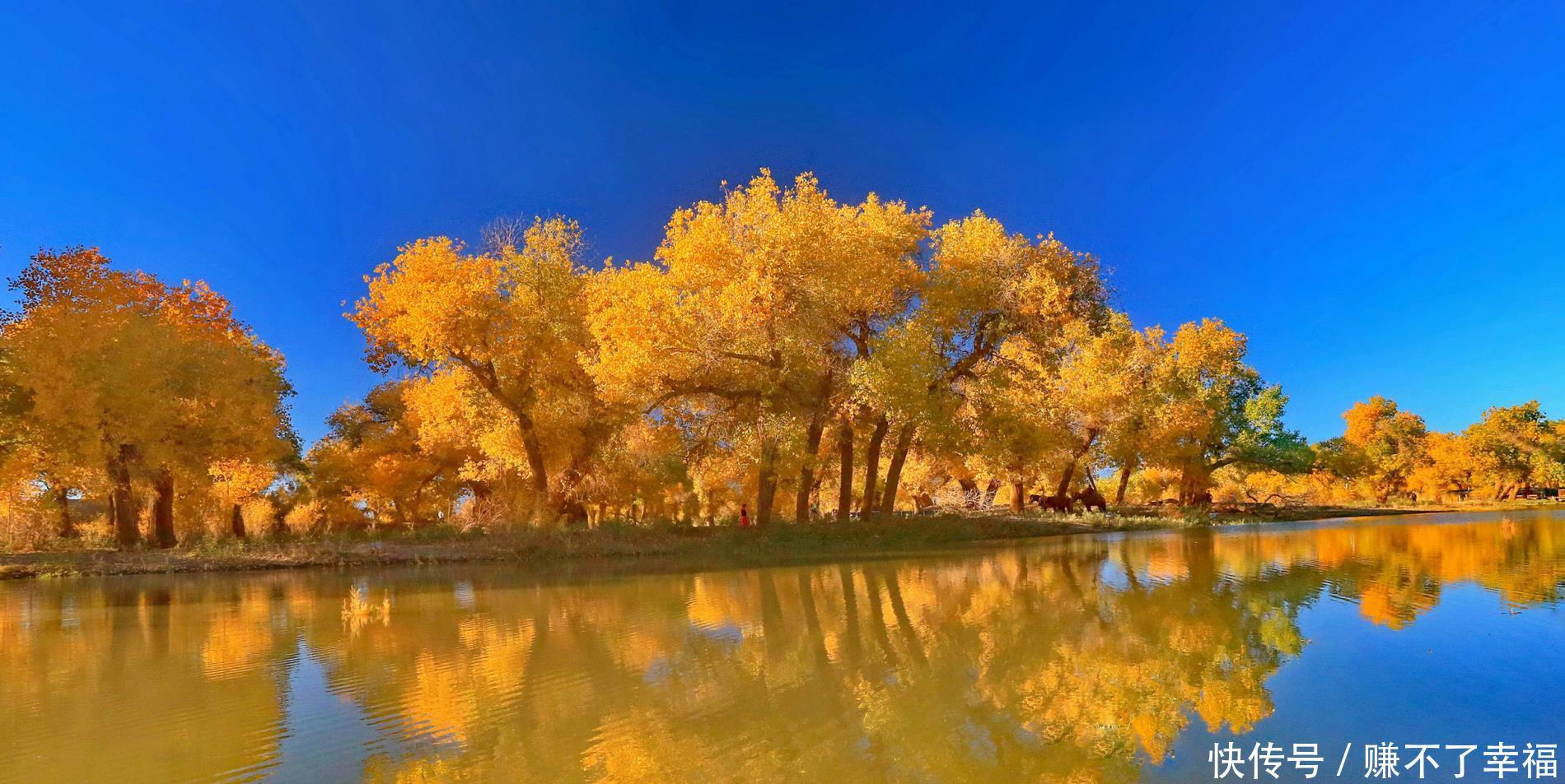 额济纳旗胡杨林:中国最美的胡杨林,也是电影的取景地,值得一去