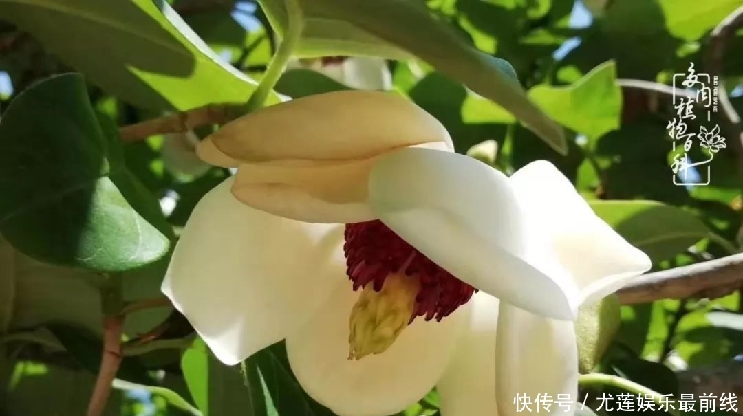  『那种』我爱的，就是你的存在！只要努力该来的都在路上！
