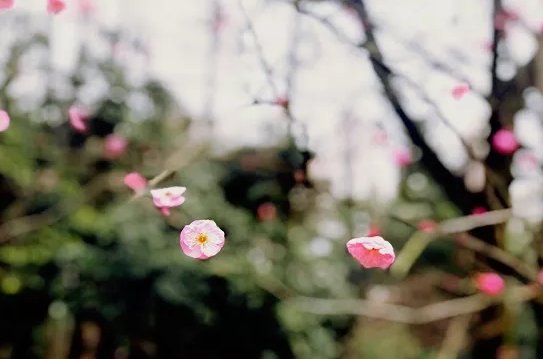 本周雨雪和降温齐到场 熬过去，阳光就在前方