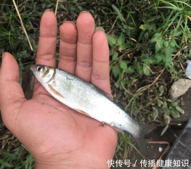  『溶氧量』不喜欢在下雨天钓鱼别怪我没提醒你，下雨天等于“爆护天”