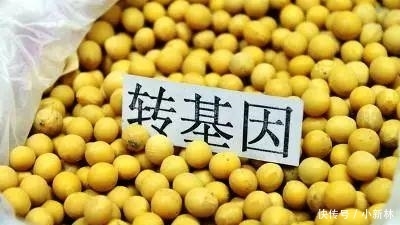  「反对派」转基因食品能吃吗? 看看袁隆平怎么说