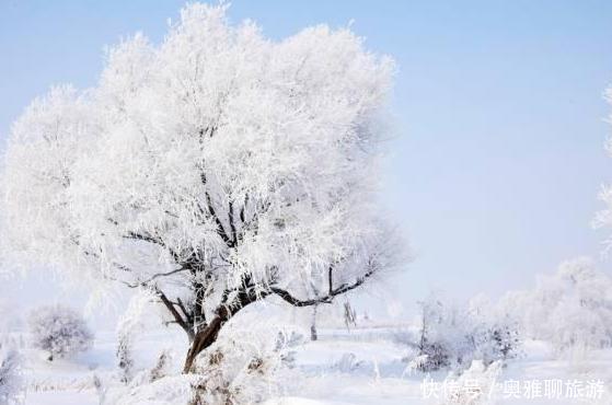 去东北旅游，让南方女游客“尴尬”的事，表示：不想去第二次