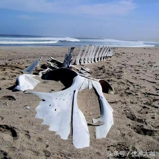 CNN此生必去的骷髅海岸,为何令全球旅人倾