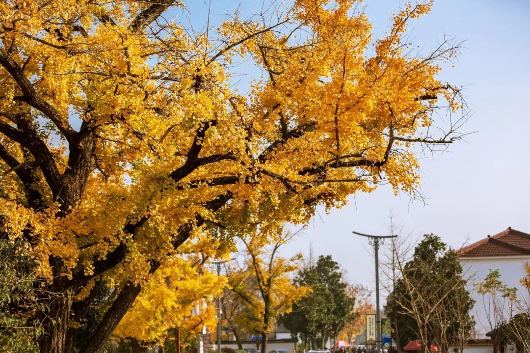 10个藏在深山人不知的古村落，却是世外桃源