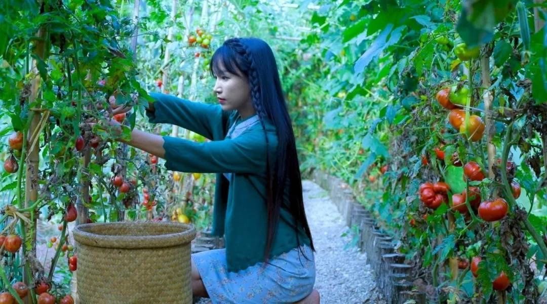  [蔬菜]如今90后的院子、阳台流行这样种菜，再也不羡慕李子柒啦...