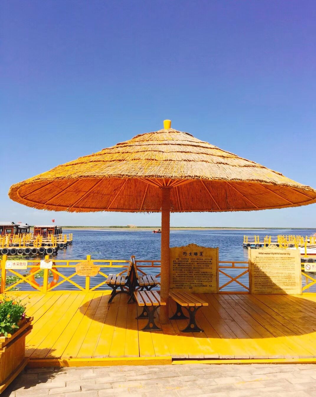 体验最美独库公路,探秘大美风情新疆-中篇之小景点也经典