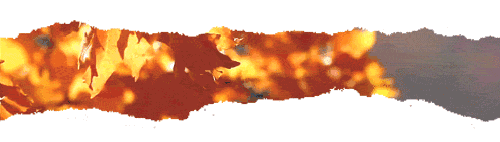 2018年初秋，“琉璃蓝色”必火!