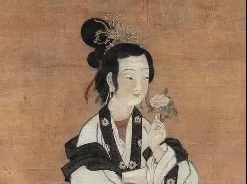  【究竟】被中国70多个城市选为市花的月季，究竟有怎样的魅力？