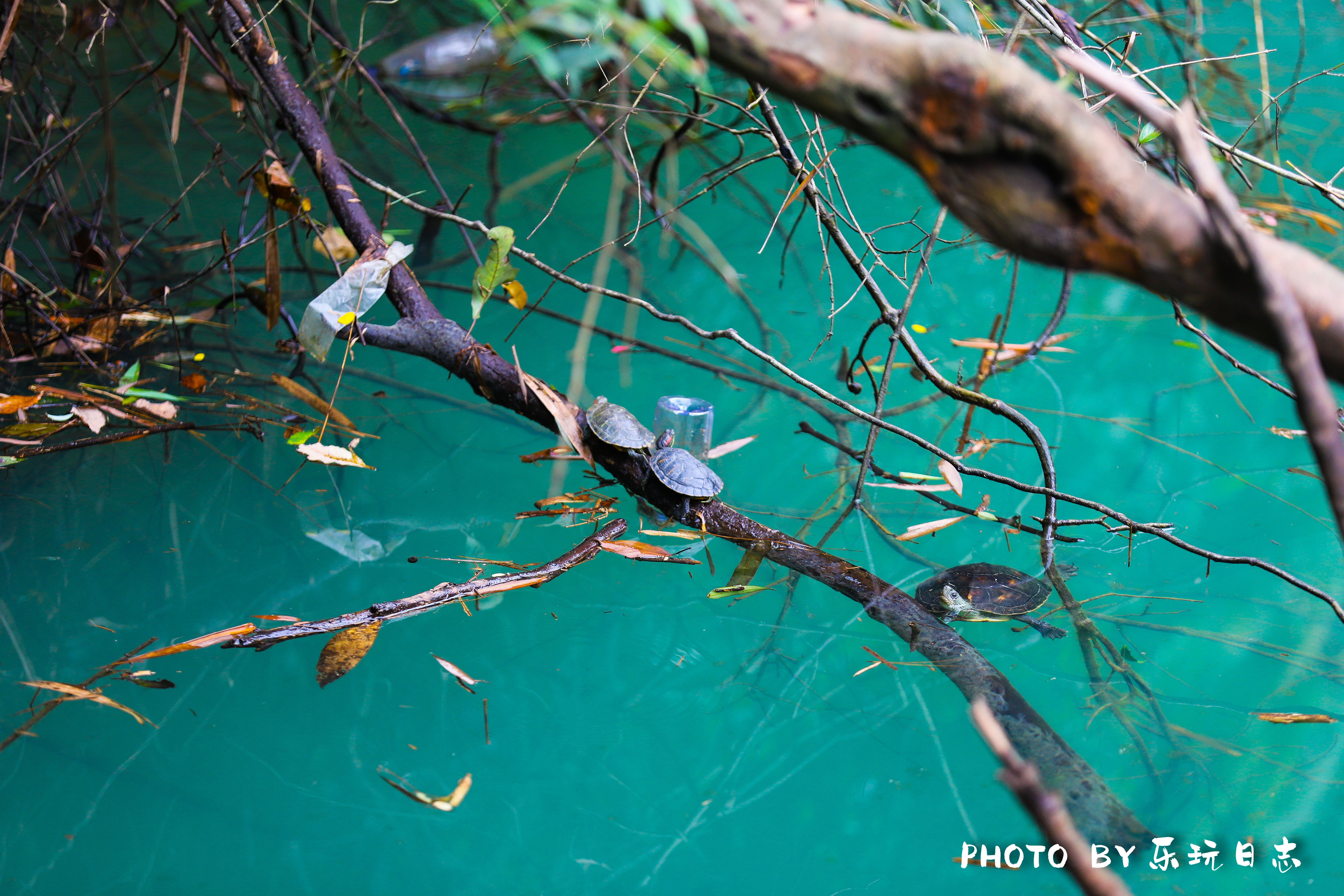 广东最美的岭南名山之一，体验夏日清爽，宛若置身世外桃源