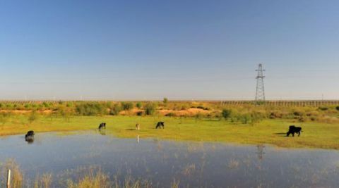  【蔬菜】世界上最“悲催”沙漠，被中国人当菜园，每年收10000多