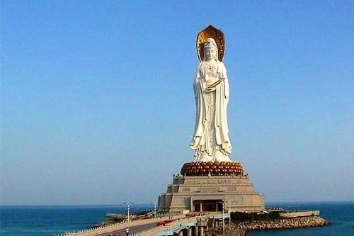  「地球」世界上最稀有的树，被称为“地球独子”，仅剩一棵就在