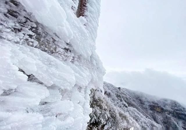  『应平台官方账号』清明春游光雾山，踏青赏花赏春雪（文末有福利）