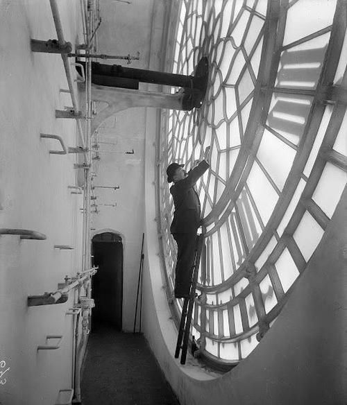 通过19个画面了解从不同角度所看到的世界