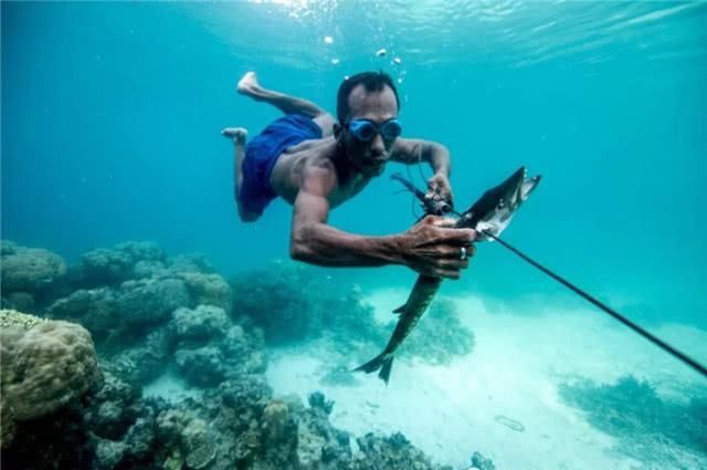 生活在海上的民族，刺破耳膜只为捕鱼，身体正在向海洋生物进化？