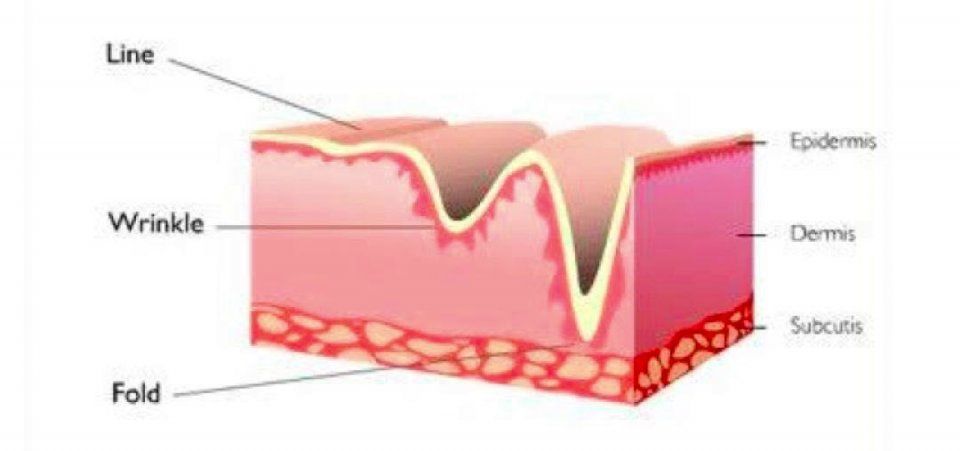 在闻风丧胆的“照妖镜”下同台battle，为什么高圆圆放肆大笑也不