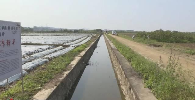  【铁铺镇坎下村】土地流转出效益乡村振兴有活力