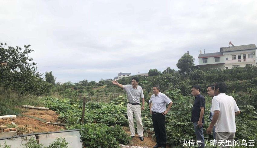 农村“禁养”搞一刀切，一头都不让养吗抱怨前先看清官方咋说的