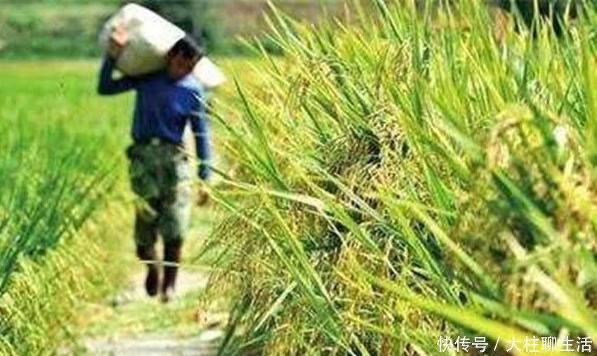 耕地：一瓶水比一斤粮贵，60后种不动90后不会种，提高粮价有用