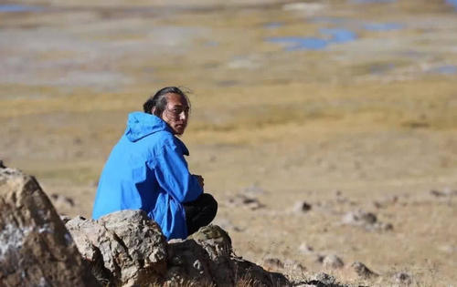 在无人区自驾时，为什么千万别睡在车里？老司机“偷偷”分享经验