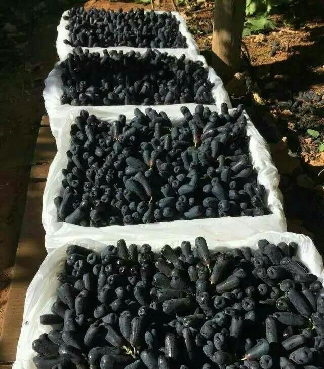 『爆红』拜拜了大蒜,我国又一农产品爆红,好吃好种植产量高,比苹果好吃