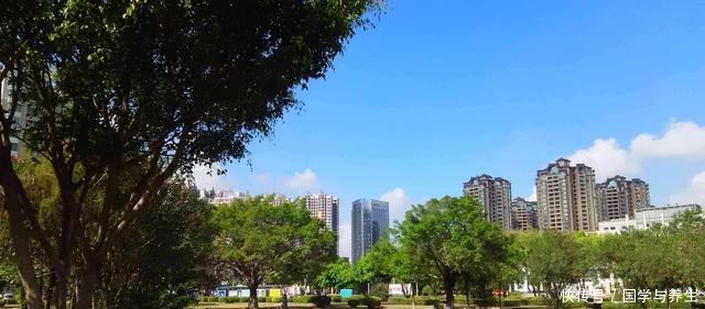 惠州崛起最快的区，有望成为下一个惠城，不是大亚湾