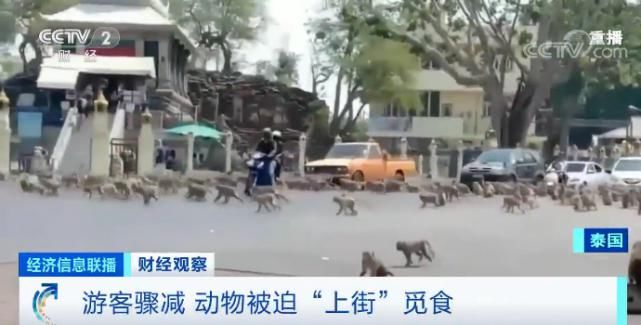  【韩国酒店】宣布关闭！国内一行业龙头企业轰然倒下！