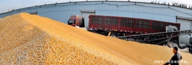 美国出口粮食到中国是亏本生意为何还要继续做原因让你想不到