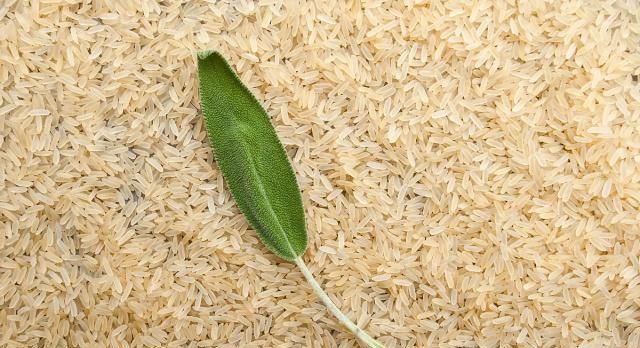 人口数量受什么制约？中国人口多少合适？为什么？