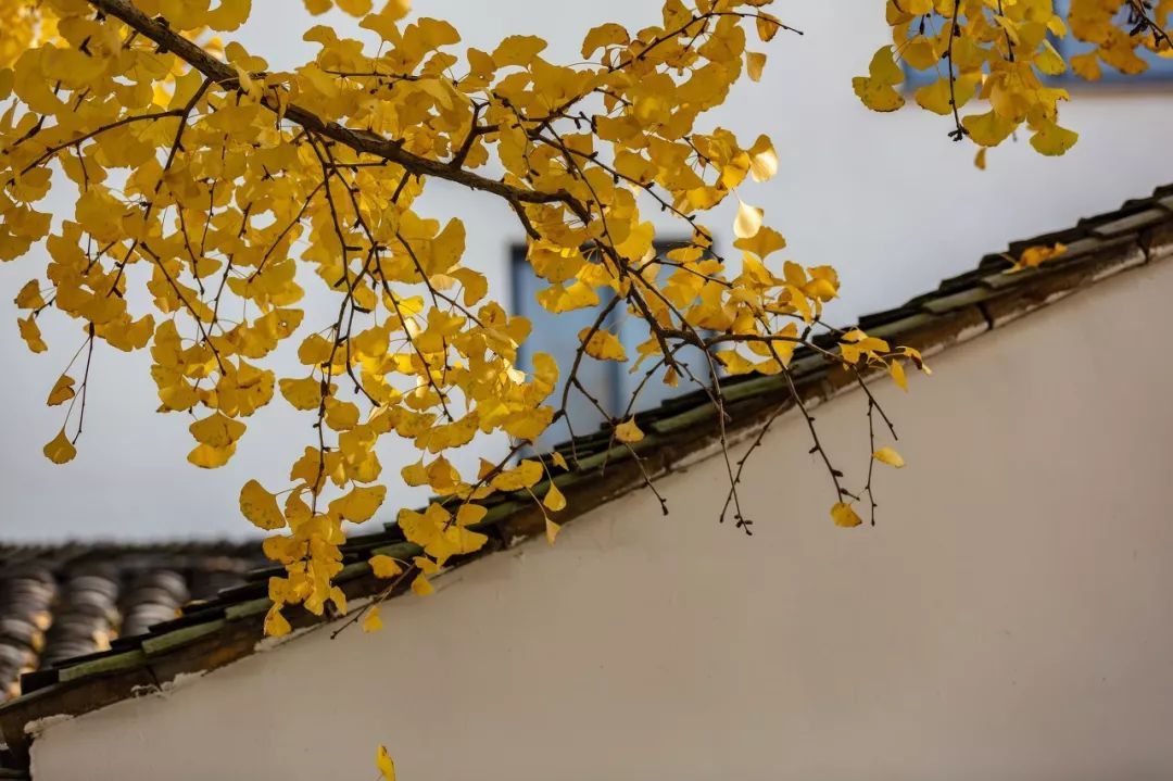 10个藏在深山人不知的古村落，却是世外桃源