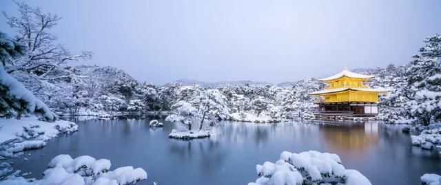 日本推荐！冬季一定不能错过的雪天绝景