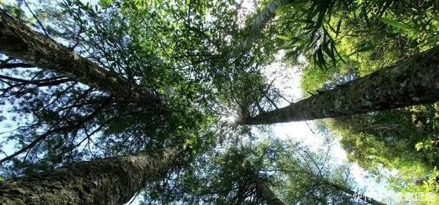 广西的邻居湖南, 有一座离天空最近的小城……