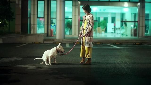  『心上人』我不敢先说我爱你，我怕你以为这是场游戏