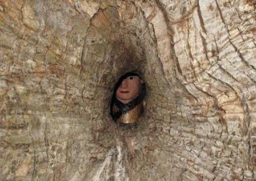 朱熹故居有一“树抱佛”，树里藏有一尊佛像，奇景至今成谜