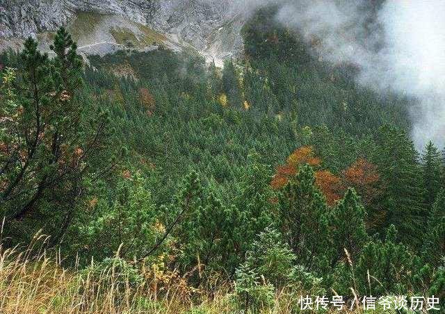 『狙击手』狙击手伪装有多好十米之内见不到人,最后一张能看出来就服你!