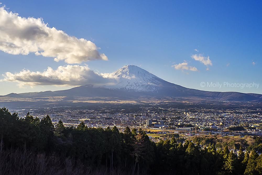 ［Molly世界游］日本初体验