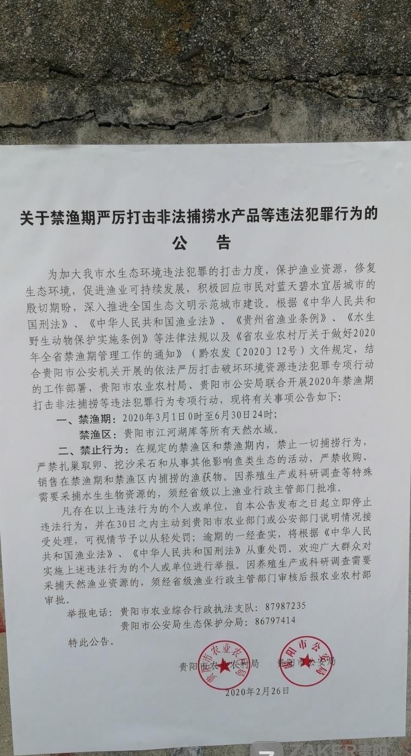 #禁渔期#禁渔期在南明河可以钓鱼吗? 相关部门:娱乐性垂钓可以有