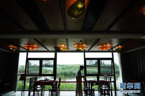 江苏南京：激发乡村活力 绽放水乡魅力