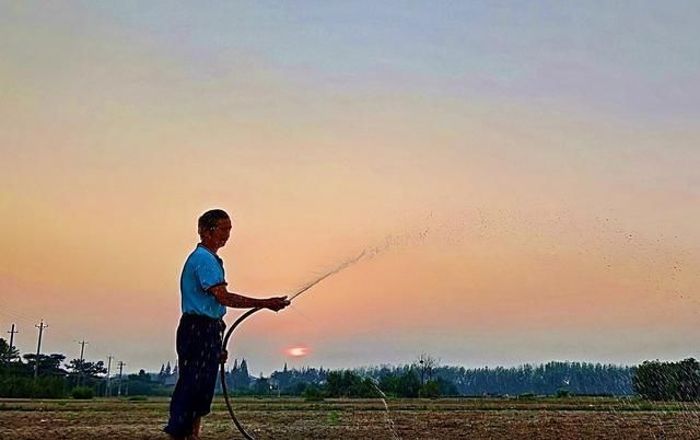  「冬瓜」俩兄弟齐心协力种植冬瓜4年，硬是挣出200万财富