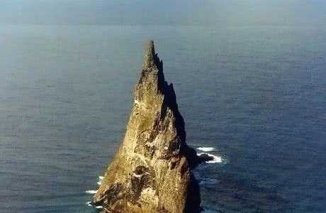 一座酷似金字塔的岛屿,发现灭绝已久的“树龙虾”,起死回生！