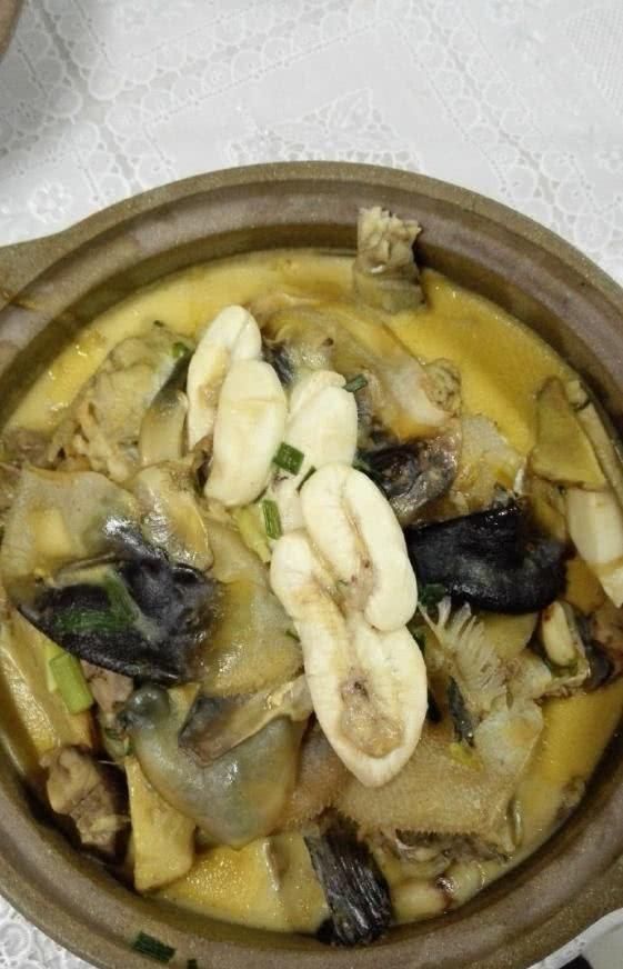 『罗非鱼』咬断鱼线、驱赶罗非鱼,珠江来了群“凶猛掠食者”,钓鱼人头疼
