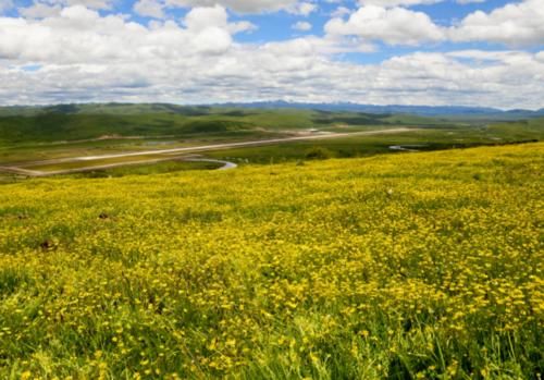 四川有一人间仙境，拥有五彩缤纷的花海，被誉为“最美高原花海”