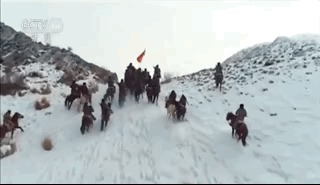 为国守边疆 全国唯一在编民兵骑兵队帅哭网友