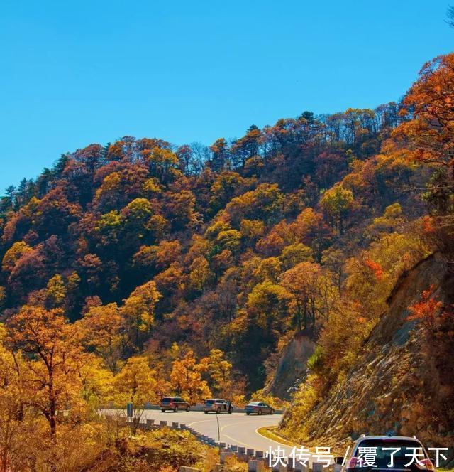 安徽旅游:大山深处一抹红,马丁公路、马鬃岭秋色美翻了