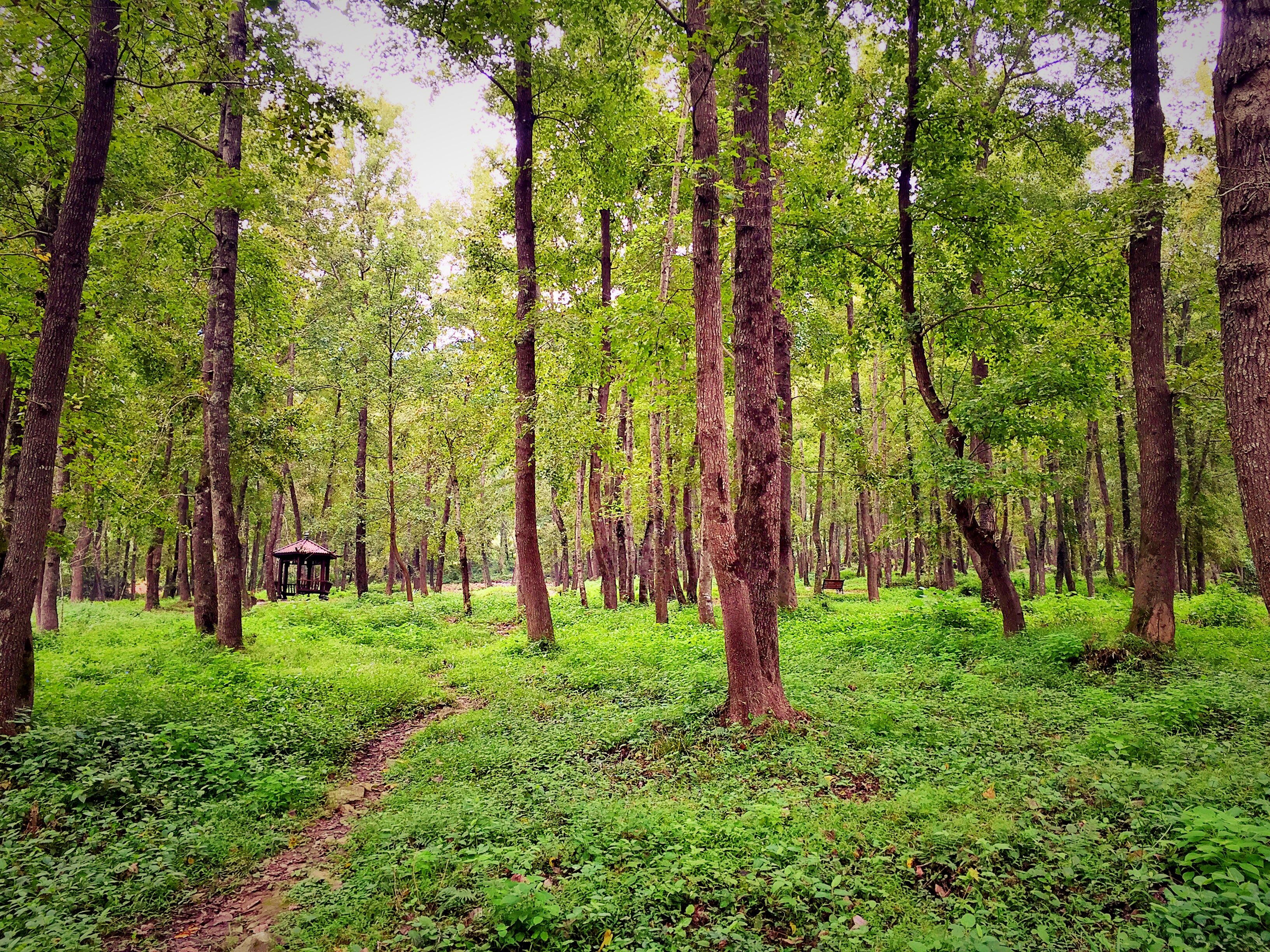 霞浦，只为了那一抹光彩
